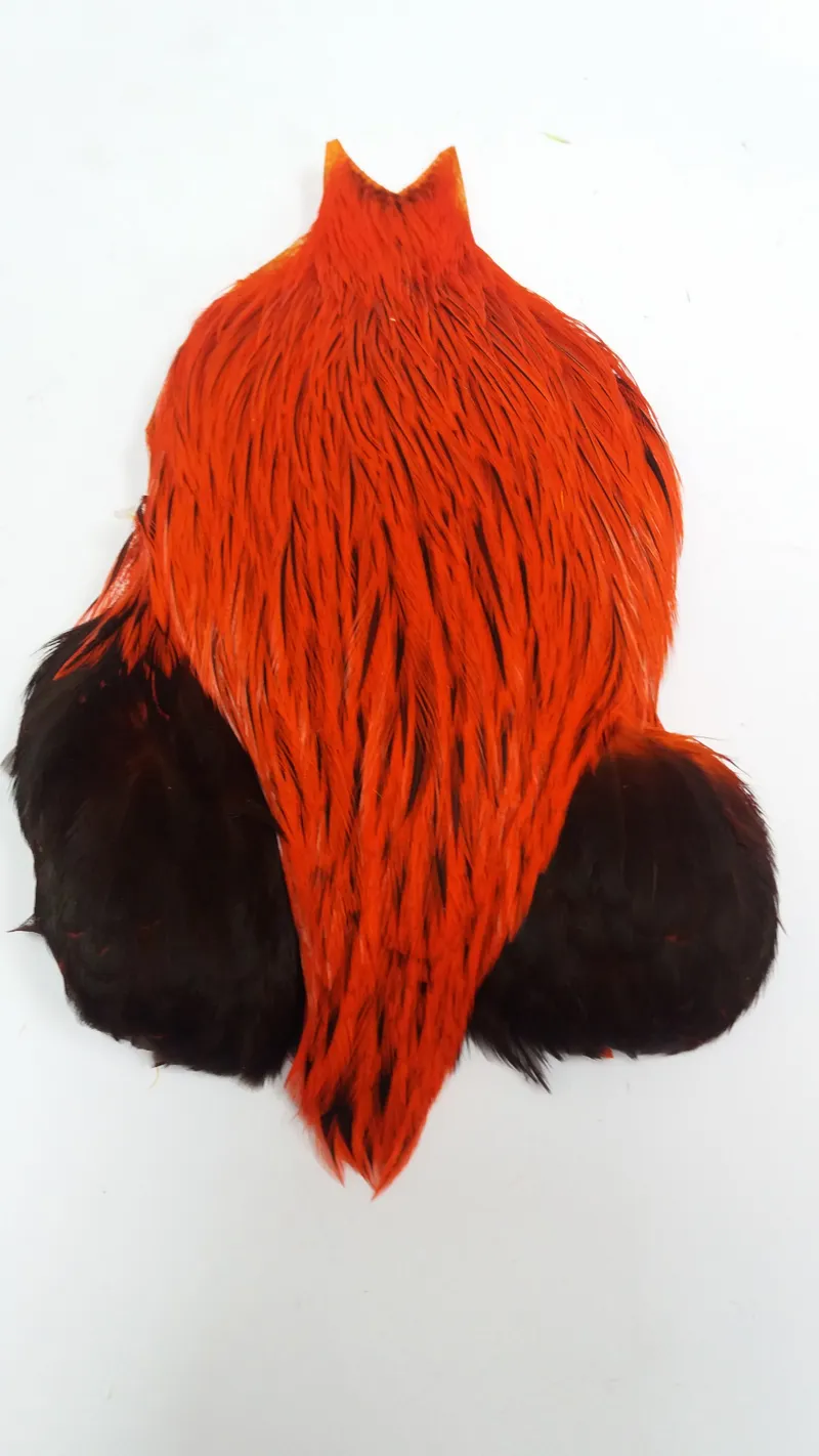 The Lakeland Brahma Rooster Cape in Silver Badger Dyed Orange  from Whiting Farms-5